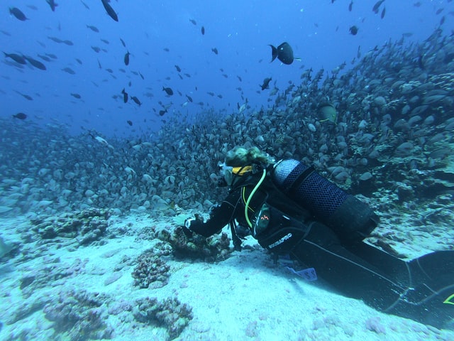 SCUBA diving